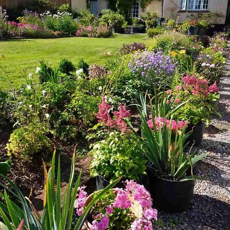 Brambles Bed And Breakfast Tiverton  Εξωτερικό φωτογραφία