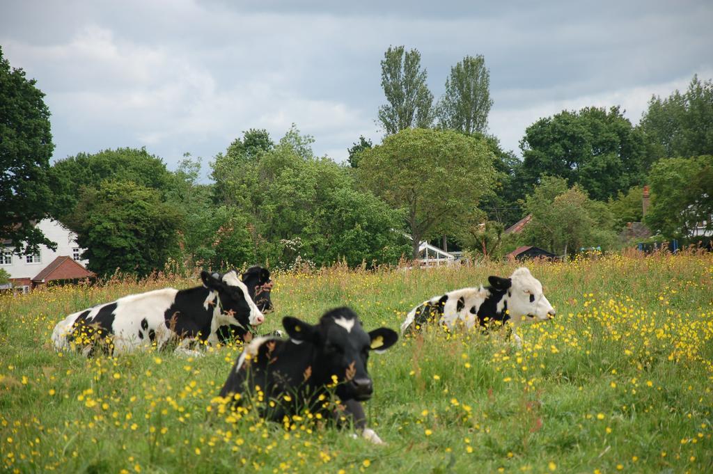 Brambles Bed And Breakfast Tiverton  Εξωτερικό φωτογραφία