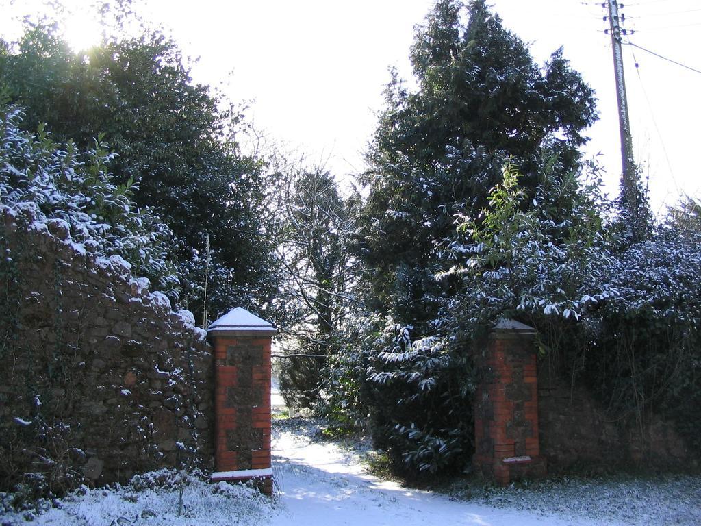 Brambles Bed And Breakfast Tiverton  Εξωτερικό φωτογραφία