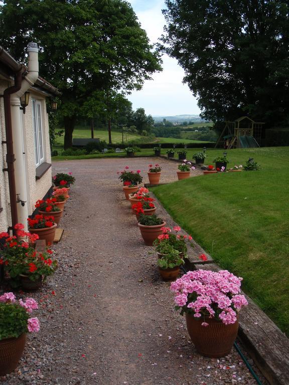Brambles Bed And Breakfast Tiverton  Δωμάτιο φωτογραφία