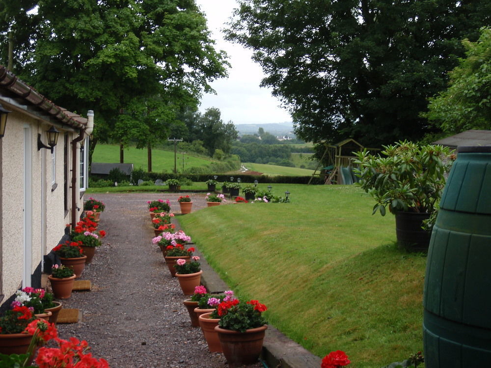 Brambles Bed And Breakfast Tiverton  Εξωτερικό φωτογραφία