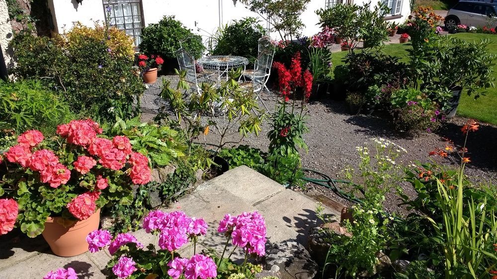 Brambles Bed And Breakfast Tiverton  Εξωτερικό φωτογραφία