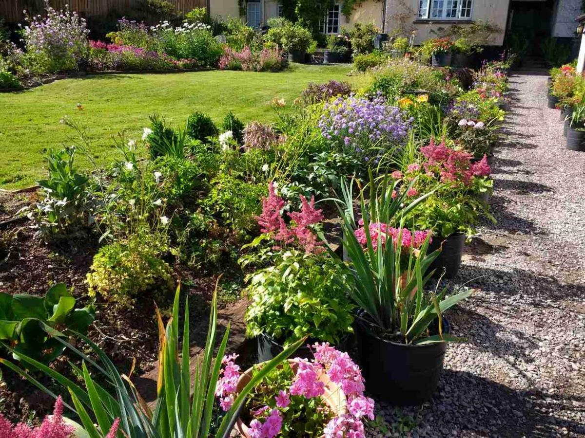 Brambles Bed And Breakfast Tiverton  Εξωτερικό φωτογραφία