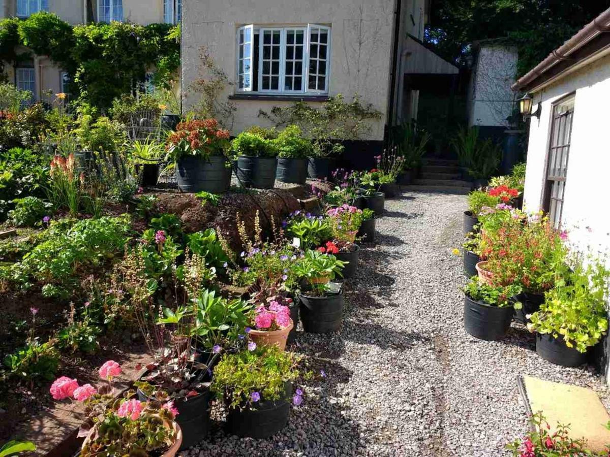 Brambles Bed And Breakfast Tiverton  Εξωτερικό φωτογραφία