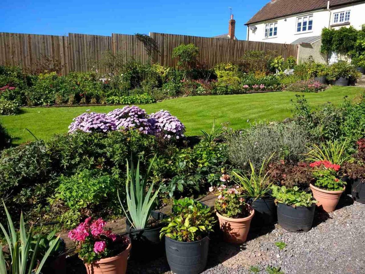 Brambles Bed And Breakfast Tiverton  Εξωτερικό φωτογραφία