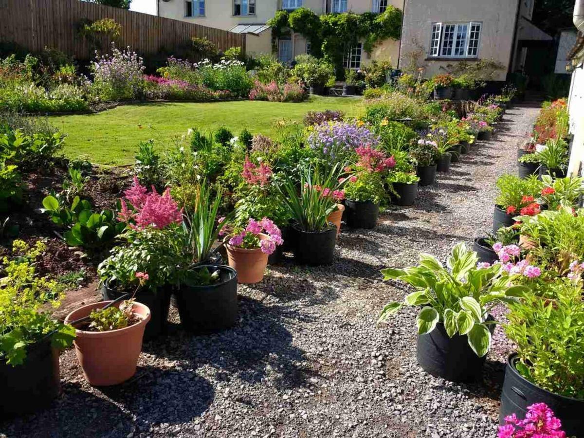 Brambles Bed And Breakfast Tiverton  Εξωτερικό φωτογραφία